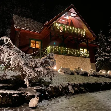 Brenna Lesnica Villa Exterior photo